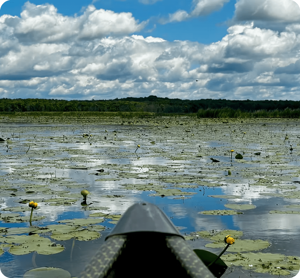 Nose of a canoe in a lake with lilies